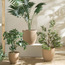 إناء زرع سيراميك مرقط - ثيمس - 40 سم-household-gardenandoutdoor-potsandplanters-planters-image-2