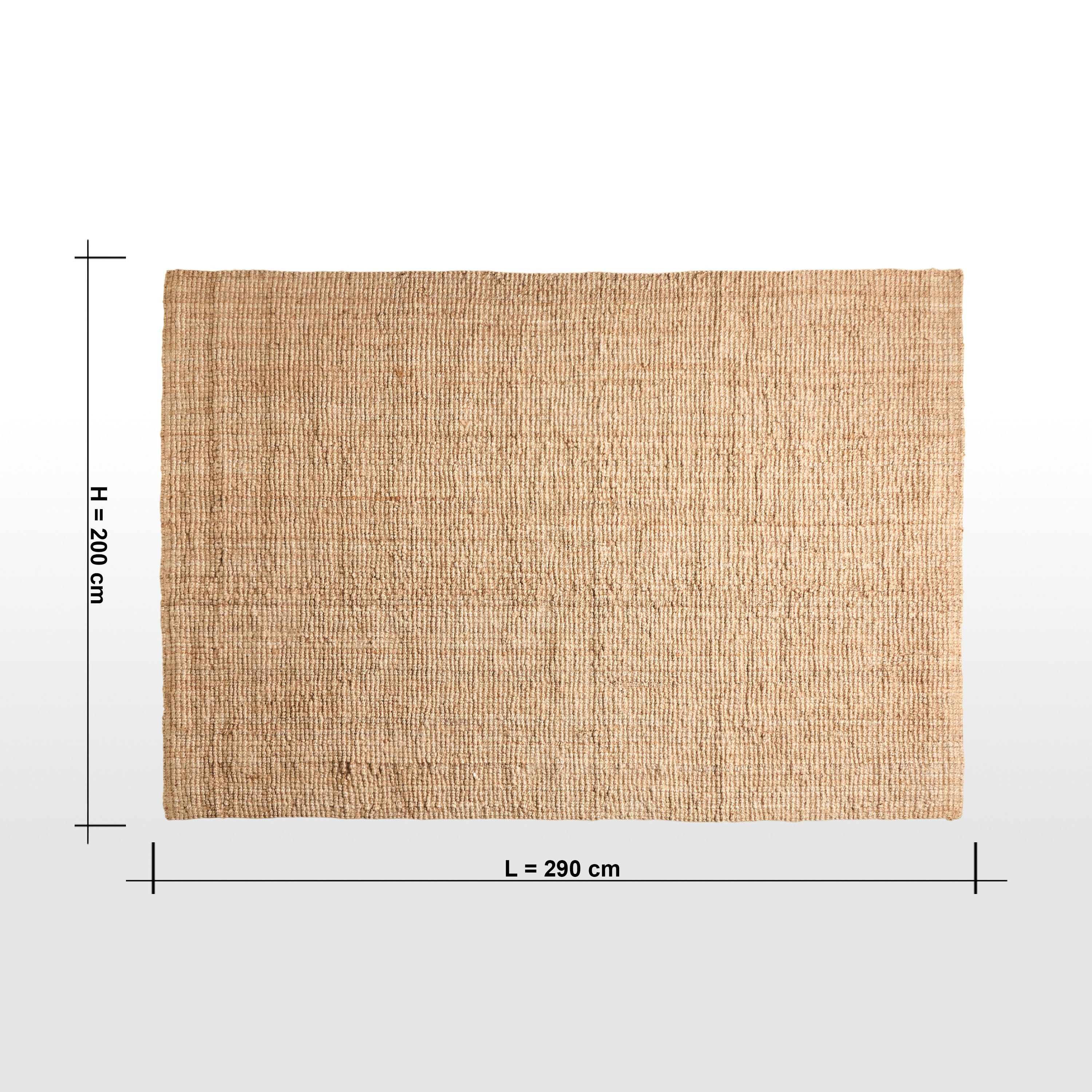 Aiden Jute Handwoven Rug - 200x290 cm-household-rugsandcarpets-rugs-image-6