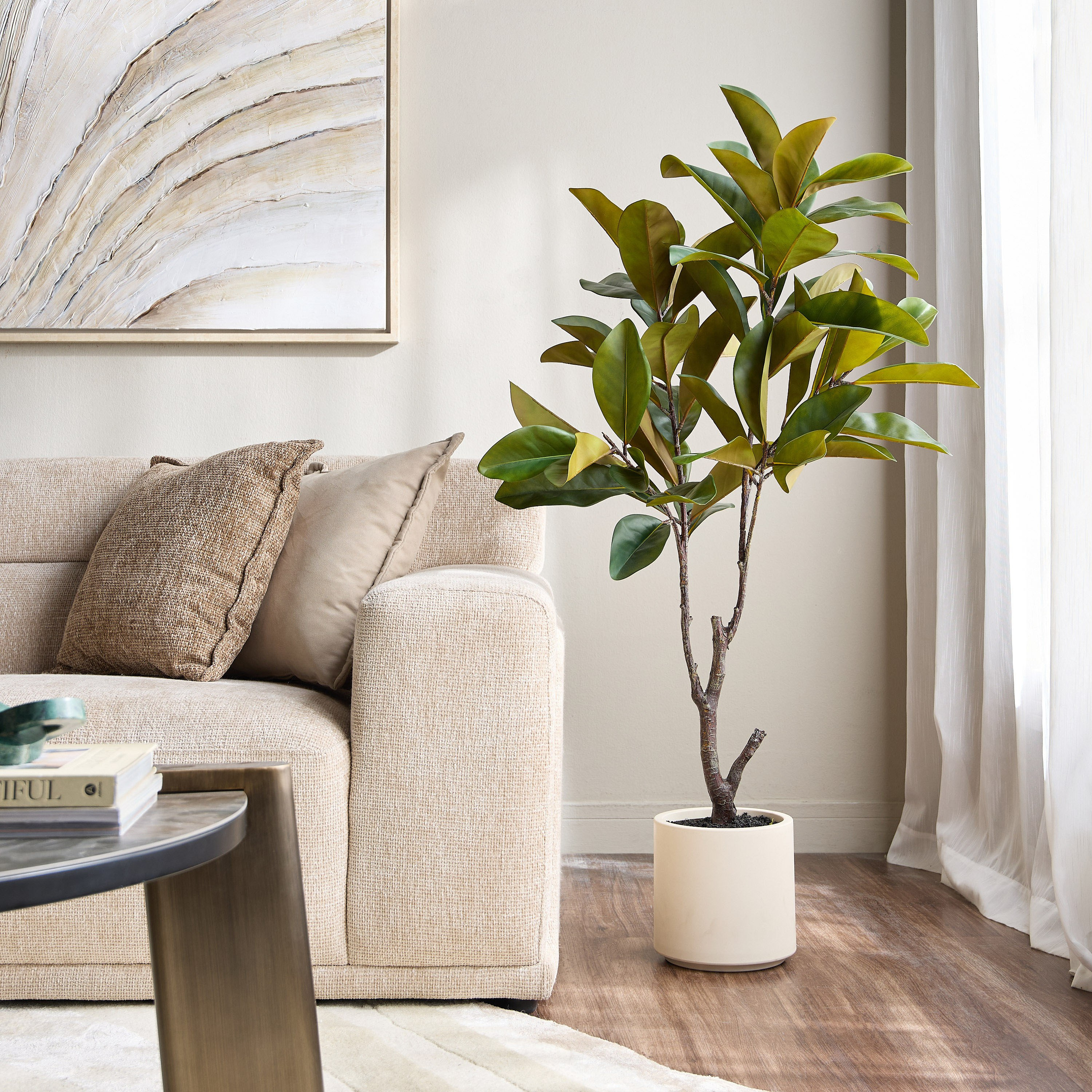 Magnolia Tree in Pot - 130 cm-household-gardenandoutdoor-trees-image-3