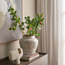 Bamboo Plant - 70 cm-household-gardenandoutdoor-trees-image-3