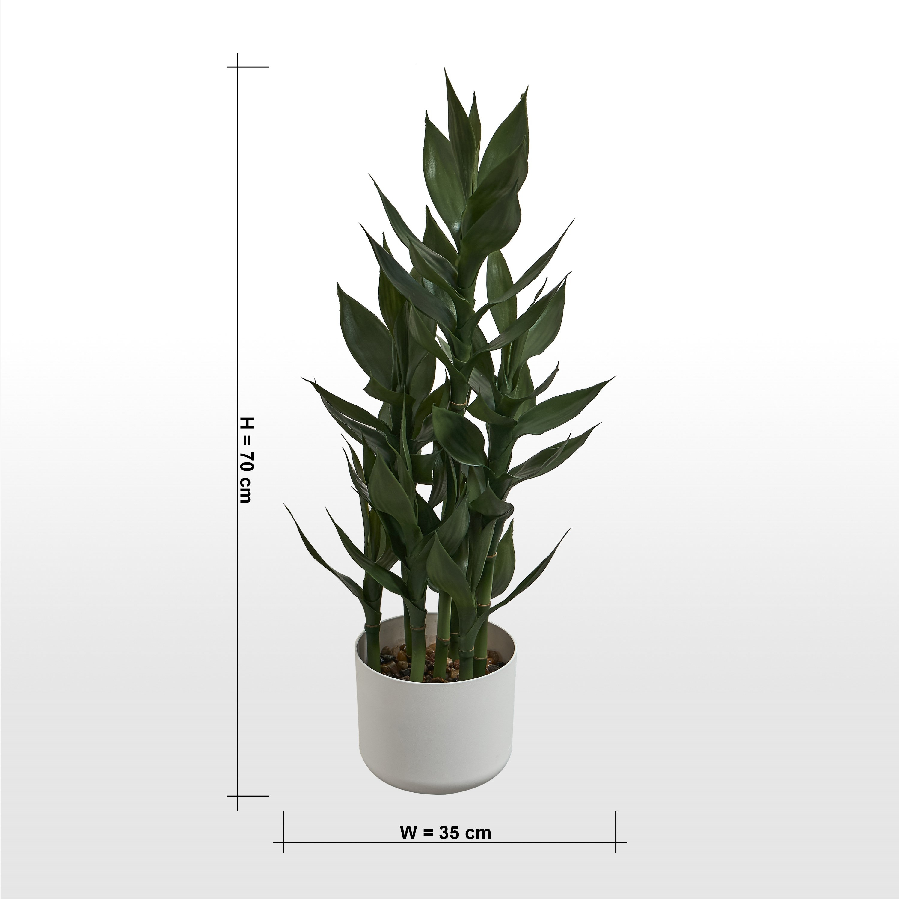نبات دراكاينا ساندريانا في إناء - 70 سم-household-gardenandoutdoor-artificialplants-pottedplants-image-5