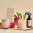 Simplicity Vanilla and Musk Scented Jar Candle - 35 h-household-homefragrance-candles-image-4