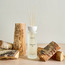 Fragranza Regina Teakwood Fir Reed Diffuser - 400 ml-household-homefragrance-reeddiffusers-image-1