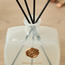 Regent Sensual Cedar Reed Diffuser - 200 ml-household-homefragrance-reeddiffusers-image-3