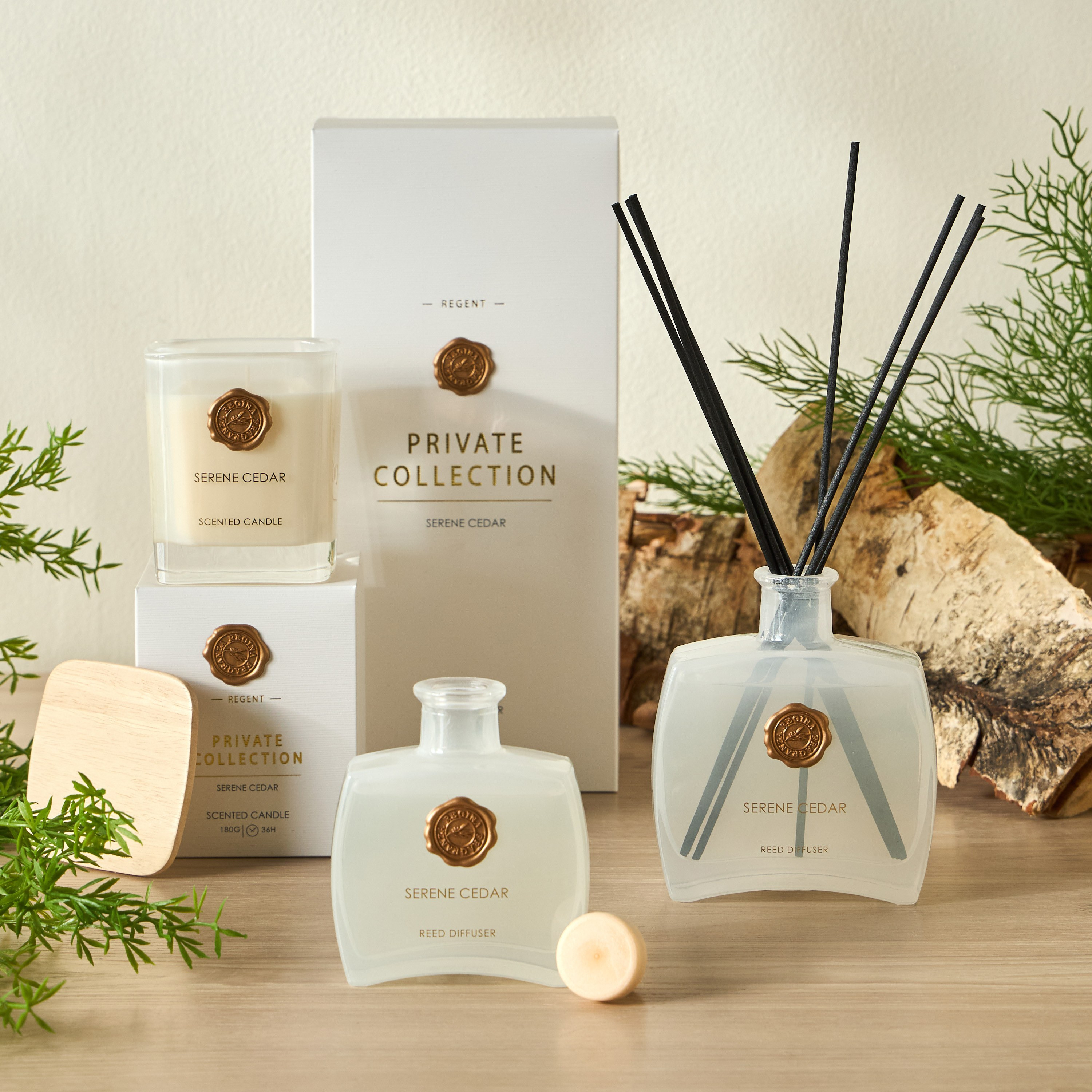 Regent Sensual Cedar Reed Diffuser - 200 ml-household-homefragrance-reeddiffusers-image-4