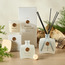 Regent Sensual Cedar Reed Diffuser - 200 ml-household-homefragrance-reeddiffusers-image-4
