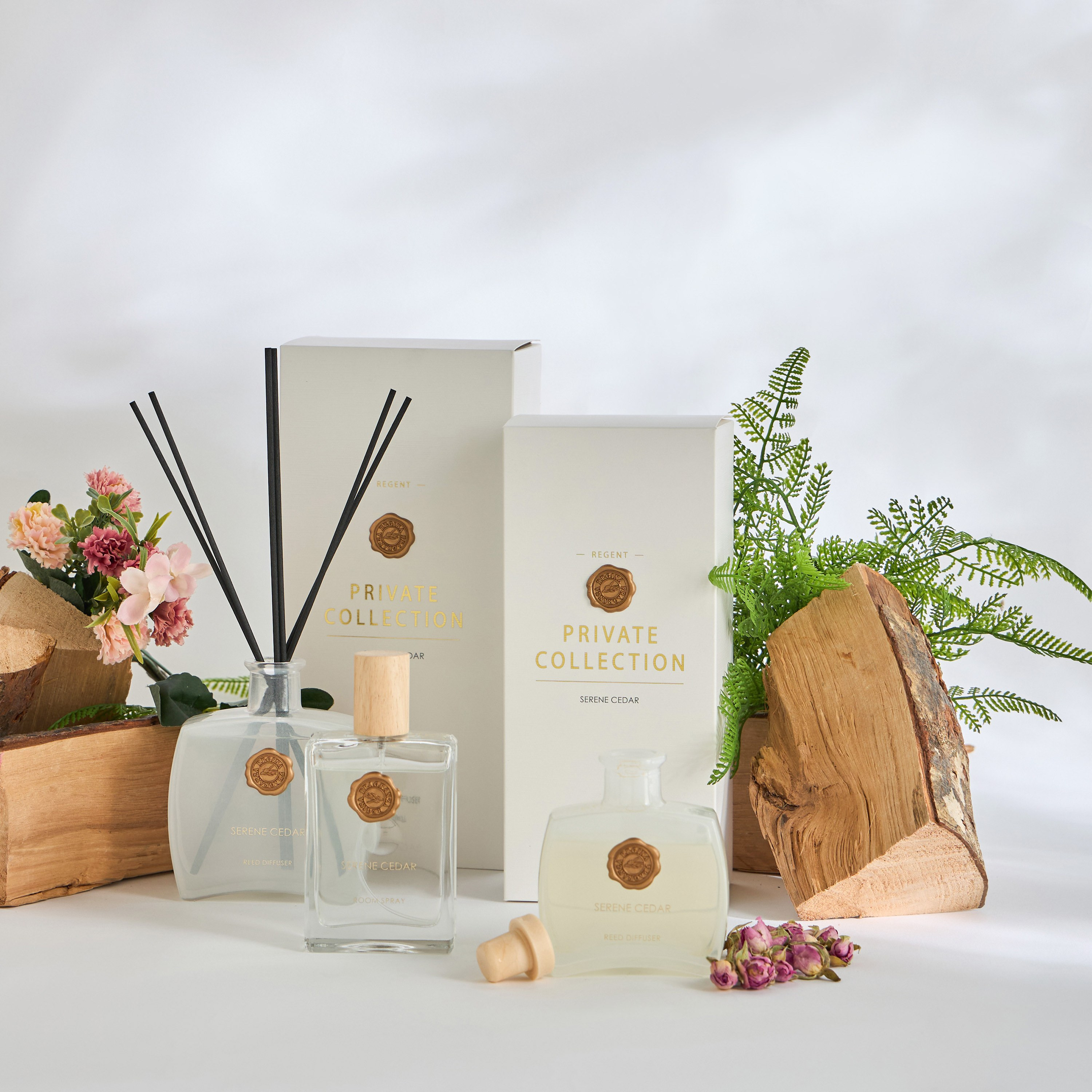 Regent Sensual Cedar Reed Diffuser - 100 ml-household-homefragrance-reeddiffusers-image-3