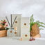 Regent Sensual Cedar Reed Diffuser - 100 ml-household-homefragrance-reeddiffusers-image-3