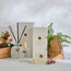 Regent Sensual Cedar Room Spray - 100 ml-household-homefragrance-homesprays-image-3