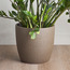 Avon Ceramic Planter - 28 cm-household-gardenandoutdoor-potsandplanters-planters-image-6