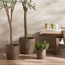 Avon Ceramic Planter - 28 cm-household-gardenandoutdoor-potsandplanters-planters-image-9