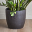 Avon Ceramic Planter - 28 cm-household-gardenandoutdoor-potsandplanters-planters-image-1