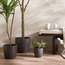 Avon Ceramic Planter - 28 cm-household-gardenandoutdoor-potsandplanters-planters-image-4