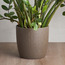 إناء زرع سيراميك - أفون  - 21 سم-household-gardenandoutdoor-potsandplanters-planters-image-4