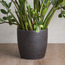 إناء زرع سيراميك - أفون  - 21 سم-household-gardenandoutdoor-potsandplanters-planters-image-9