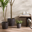 إناء زرع سيراميك - أفون  - 21 سم-household-gardenandoutdoor-potsandplanters-planters-image-6