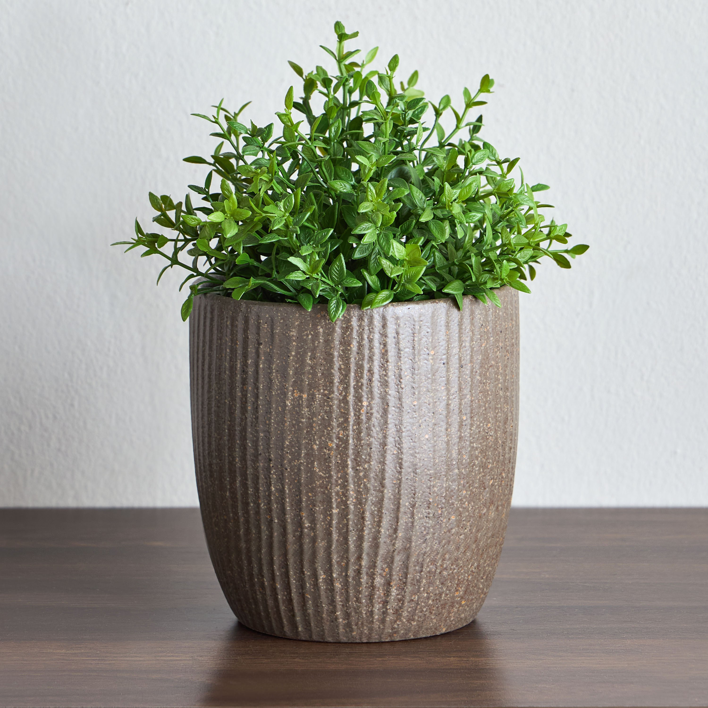 Avon Ceramic Planter - 16 cm-household-gardenandoutdoor-potsandplanters-planters-image-1