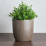 إناء زرع سيراميك - أفون - 16 سم-household-gardenandoutdoor-potsandplanters-planters-image-4