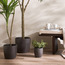 إناء زرع سيراميك - أفون - 16 سم-household-gardenandoutdoor-potsandplanters-planters-image-6
