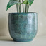 وعاء زرع سيراميك فينسينت - جليز - 29 سم-household-gardenandoutdoor-potsandplanters-planters-image-5