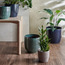 وعاء زرع سيراميك فينسينت - جليز - 29 سم-household-gardenandoutdoor-potsandplanters-planters-image-2