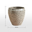 إناء زرع سيراميك لامع - راكو- 38 سم-binpromo_KSA_Alrajhi_17062026-image-1
