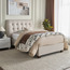 Stellar Luxe Single Modular Headboard - 120 cm-furniture-modular-modularbeds-stellar-image-13