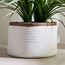 Mia Cotton Rope Planter - 20 cm-household-gardenandoutdoor-potsandplanters-planters-image-1