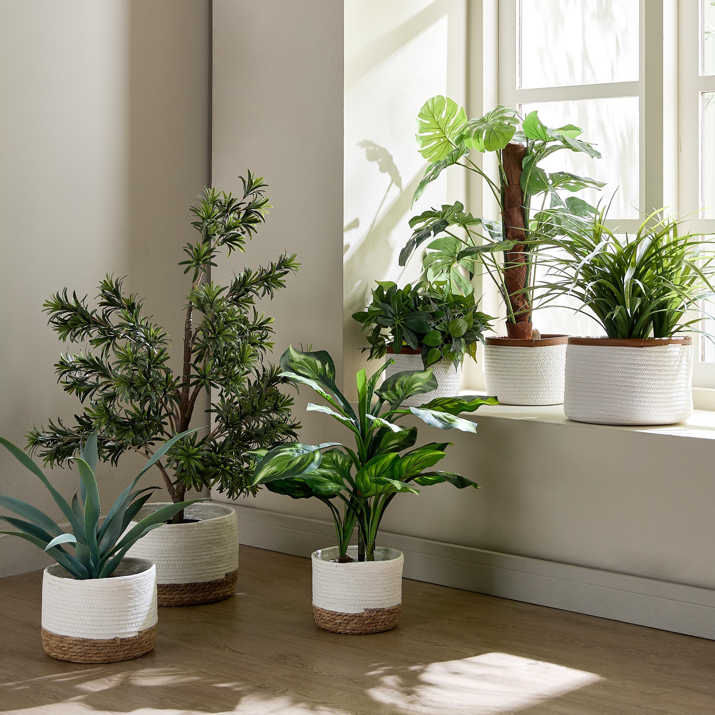 Mia Cotton Rope Planter - 20 cm-household-gardenandoutdoor-potsandplanters-planters-image-4
