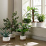Mia Cotton Rope Planter - 20 cm-household-gardenandoutdoor-potsandplanters-planters-image-4
