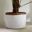 Mia Cotton Rope Planter - 20 cm-household-gardenandoutdoor-potsandplanters-planters-image-1