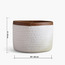 Mia Cotton Rope Planter - 20 cm-household-gardenandoutdoor-potsandplanters-planters-image-5