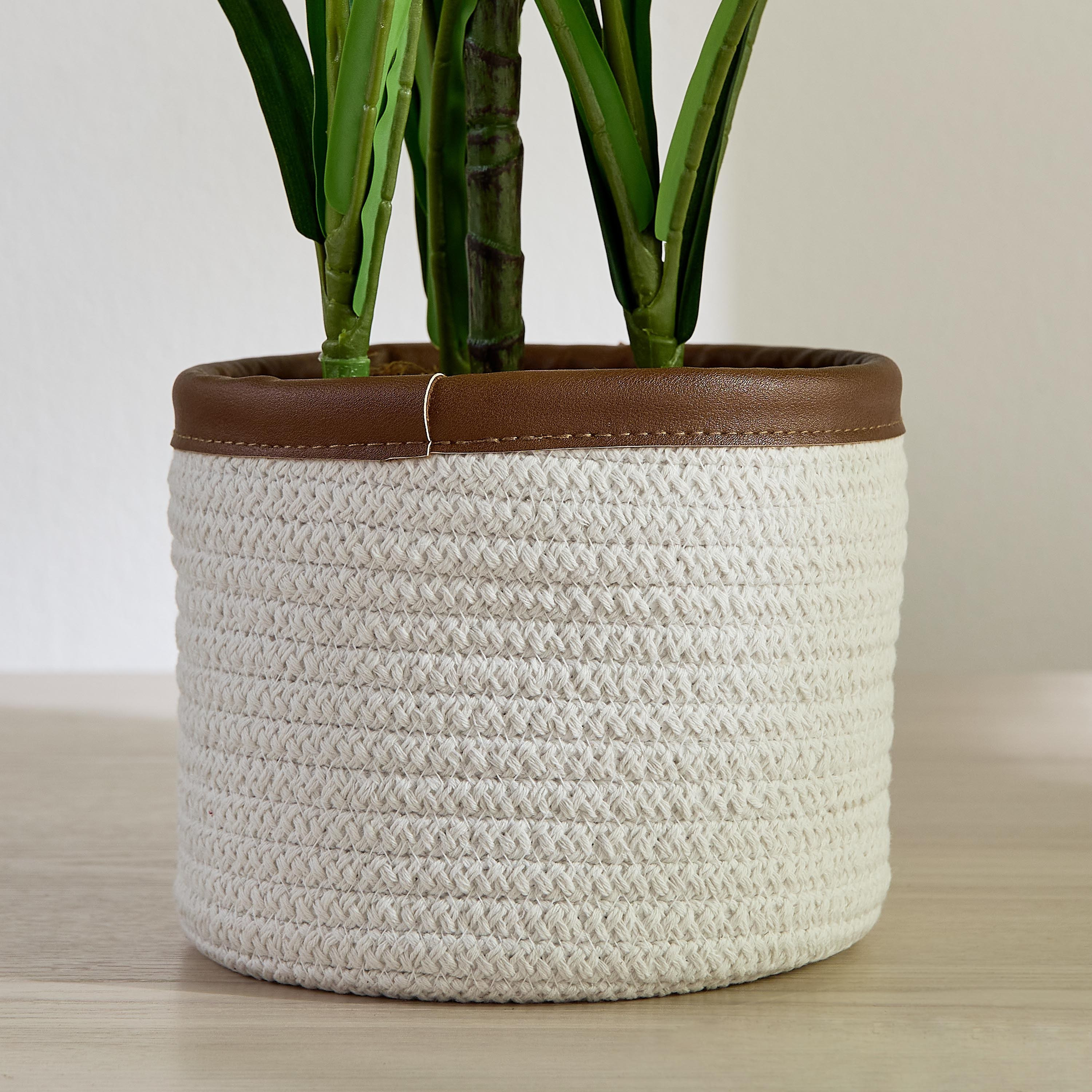 Mia Cotton Rope Planter - 20 cm-household-gardenandoutdoor-potsandplanters-planters-image-1