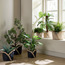 Aronica Jute Planter - 23 cm-household-gardenandoutdoor-potsandplanters-planters-image-4
