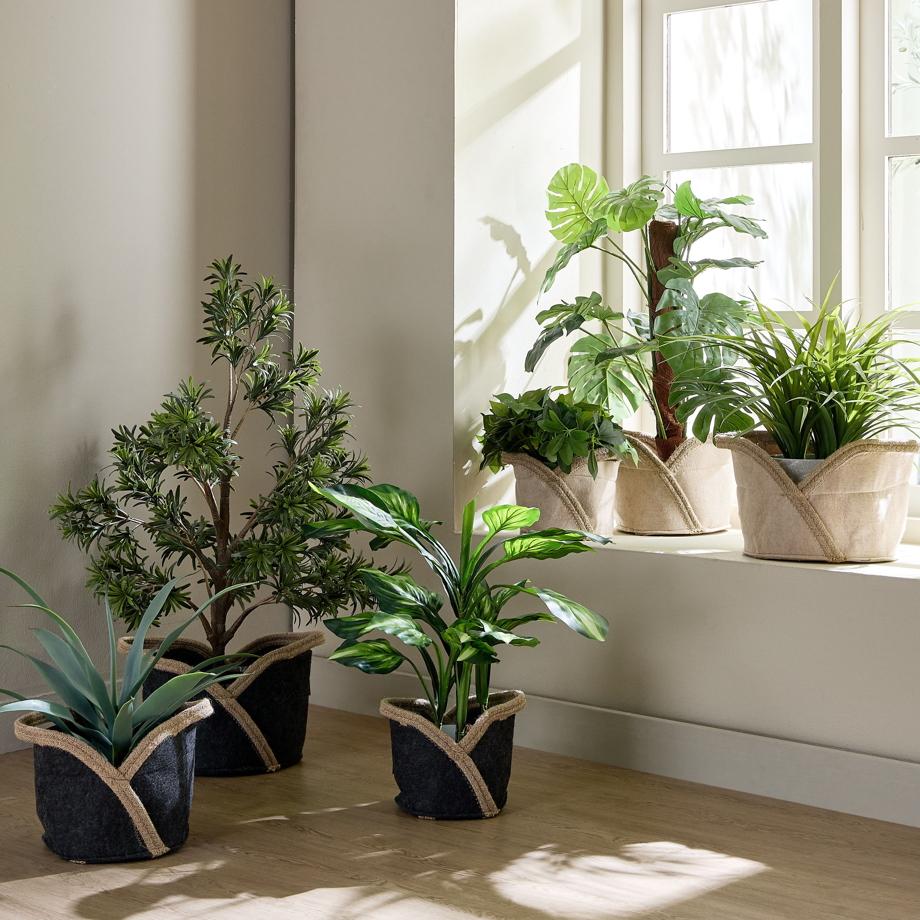 Aronica Felt Rope Planter - 23 cm-household-gardenandoutdoor-potsandplanters-planters-image-4