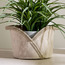 Aronica Jute Planter - 23 cm-household-gardenandoutdoor-potsandplanters-planters-image-6