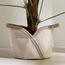 Aronica Jute Planter - 23 cm-household-gardenandoutdoor-potsandplanters-planters-image-6