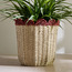 Scallope Rope Planter - 31 cm-household-gardenandoutdoor-potsandplanters-planters-image-1