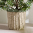 Scallope Rope Planter - 31 cm-household-gardenandoutdoor-potsandplanters-planters-image-6