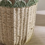 Scallope Rope Planter - 31 cm-household-gardenandoutdoor-potsandplanters-planters-image-8