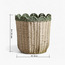 Scallope Rope Planter - 31 cm-household-gardenandoutdoor-potsandplanters-planters-image-10
