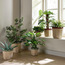Scalloped Rope Planter - 31 cm-household-gardenandoutdoor-potsandplanters-planters-image-4