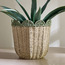 Scalloped Rope Planter - 31 cm-household-gardenandoutdoor-potsandplanters-planters-image-6