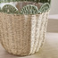 Scalloped Rope Planter - 31 cm-household-gardenandoutdoor-potsandplanters-planters-image-8