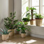 Scalloped Rope Planter - 31 cm-household-gardenandoutdoor-potsandplanters-planters-image-9