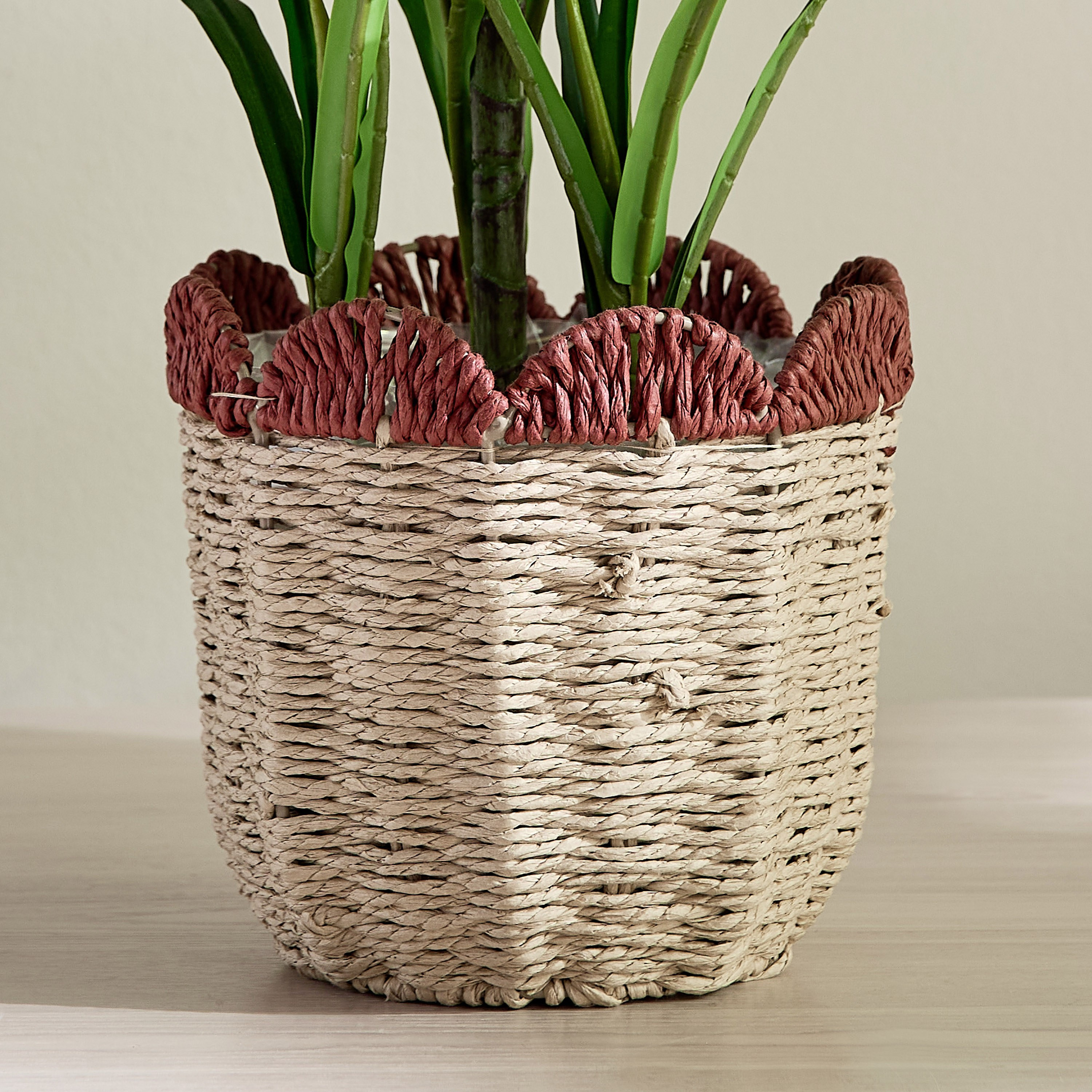 Scallope Rope Planter - 31 cm-household-gardenandoutdoor-potsandplanters-planters-image-1