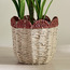 Scallope Rope Planter - 31 cm-household-gardenandoutdoor-potsandplanters-planters-image-1