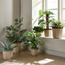 Scallope Rope Planter - 31 cm-household-gardenandoutdoor-potsandplanters-planters-image-4