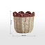 Scallope Rope Planter - 31 cm-household-gardenandoutdoor-potsandplanters-planters-image-5