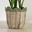 Scallope Rope Planter - 31 cm-household-gardenandoutdoor-potsandplanters-planters-image-6